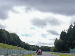 ELMS SPA