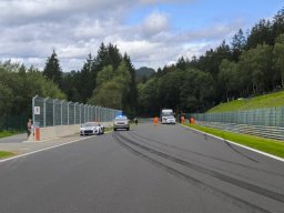 ELMS SPA